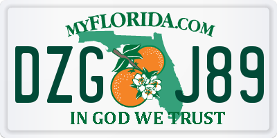 FL license plate DZGJ89
