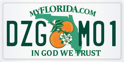 FL license plate DZGM01