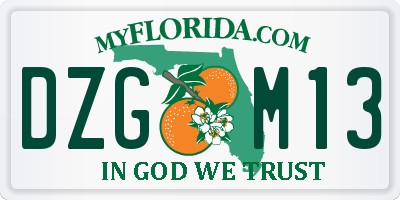 FL license plate DZGM13