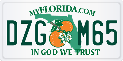FL license plate DZGM65