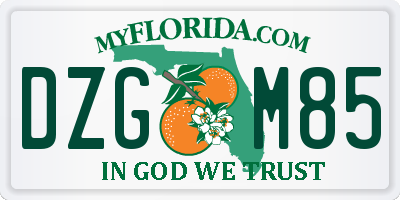 FL license plate DZGM85
