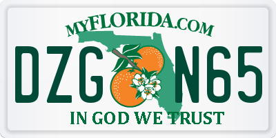 FL license plate DZGN65