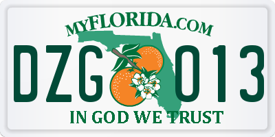 FL license plate DZGO13