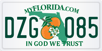 FL license plate DZGO85