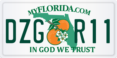 FL license plate DZGR11