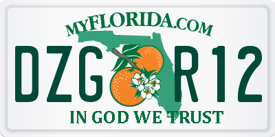FL license plate DZGR12