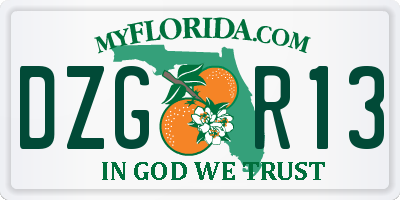 FL license plate DZGR13