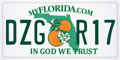 FL license plate DZGR17