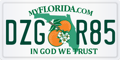 FL license plate DZGR85