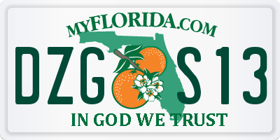 FL license plate DZGS13