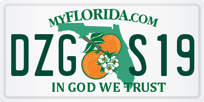 FL license plate DZGS19