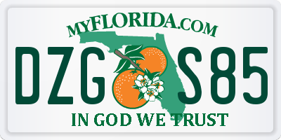 FL license plate DZGS85