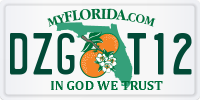 FL license plate DZGT12