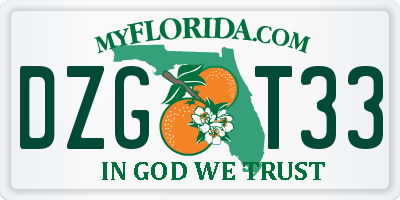 FL license plate DZGT33