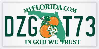 FL license plate DZGT73