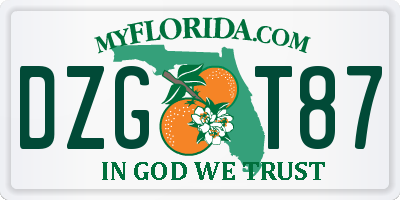 FL license plate DZGT87