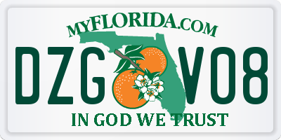 FL license plate DZGV08