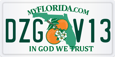 FL license plate DZGV13