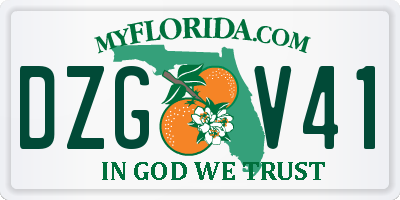 FL license plate DZGV41