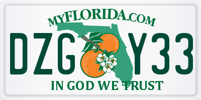 FL license plate DZGY33