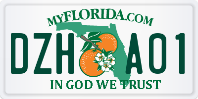 FL license plate DZHA01