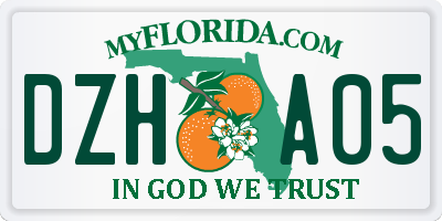 FL license plate DZHA05