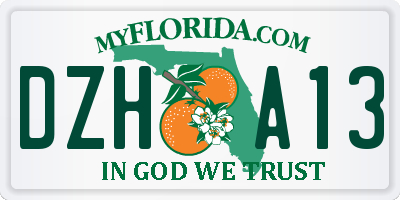 FL license plate DZHA13