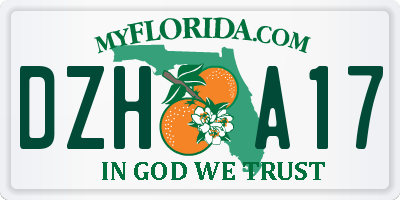 FL license plate DZHA17