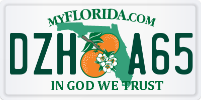 FL license plate DZHA65