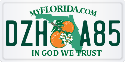 FL license plate DZHA85