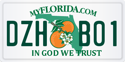 FL license plate DZHB01