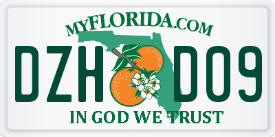 FL license plate DZHD09