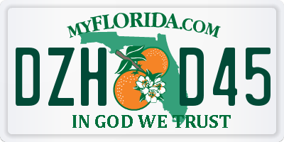 FL license plate DZHD45