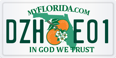 FL license plate DZHE01