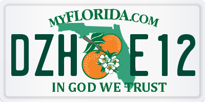 FL license plate DZHE12