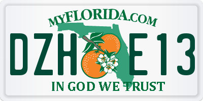 FL license plate DZHE13