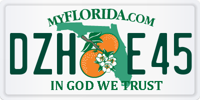 FL license plate DZHE45