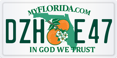 FL license plate DZHE47