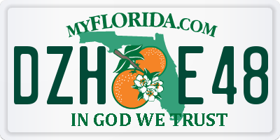 FL license plate DZHE48