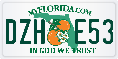 FL license plate DZHE53