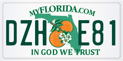 FL license plate DZHE81