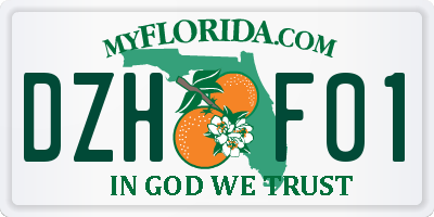 FL license plate DZHF01