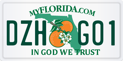 FL license plate DZHG01