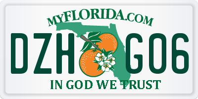FL license plate DZHG06