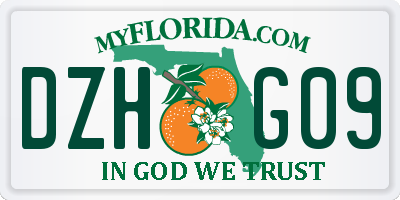 FL license plate DZHG09