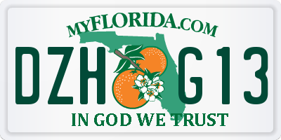 FL license plate DZHG13