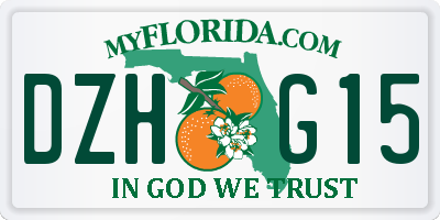 FL license plate DZHG15