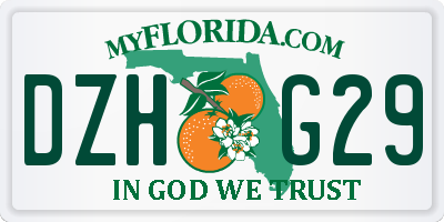 FL license plate DZHG29