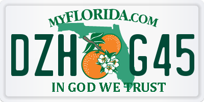 FL license plate DZHG45