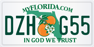 FL license plate DZHG55